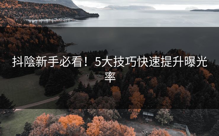 抖陰新手必看!5大技巧快速提升曝光率