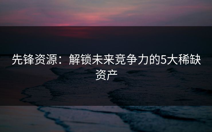 先锋资源:解锁未来竞争力的5大稀缺资产