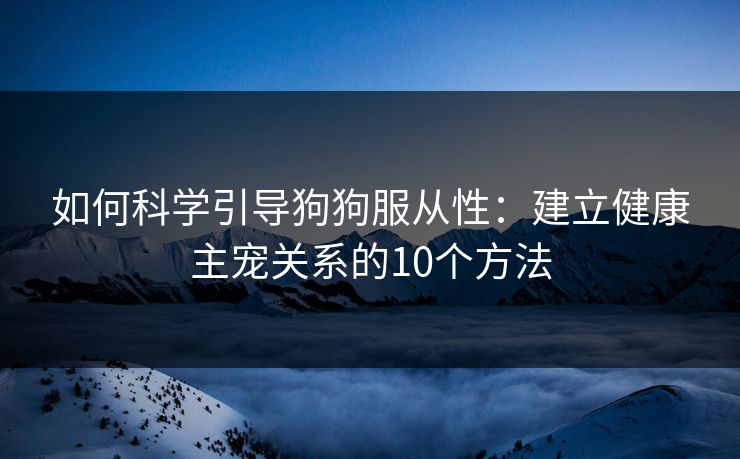 如何科学引导狗狗服从性:建立健康主宠关系的10个方法