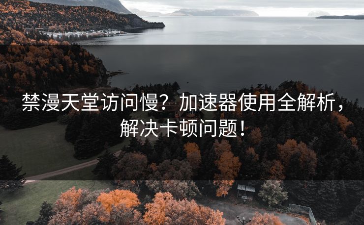 禁漫天堂访问慢?加速器使用全解析,解决卡顿问题!