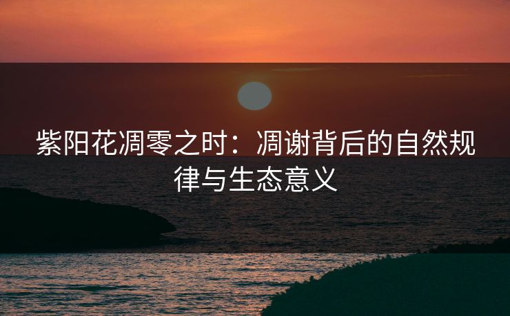 紫阳花凋零之时:凋谢背后的自然规律与生态意义