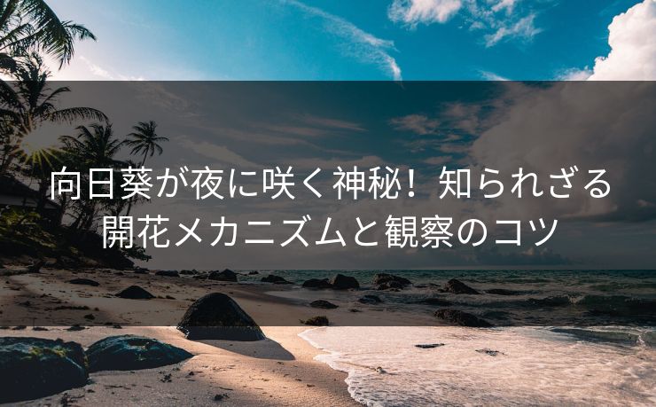 向日葵が夜に咲く神秘!知られざる開花メカニズムと観察のコツ 向日葵が夜に咲く神秘!知られざる開花メカニズムと観察のコツ