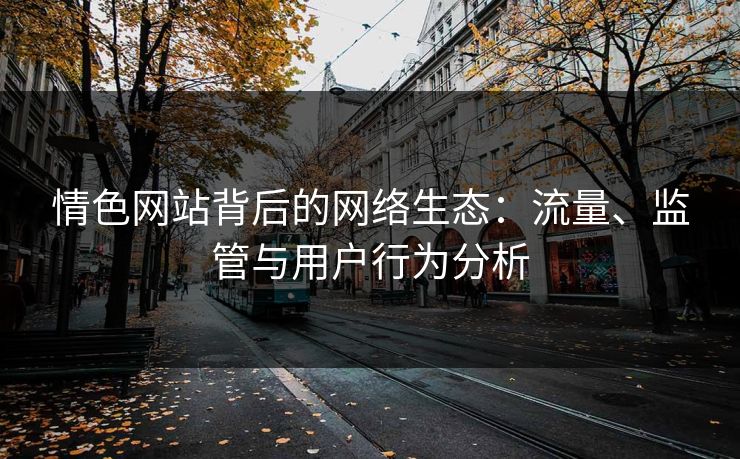 情色网站背后的网络生态:流量、监管与用户行为分析
