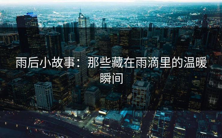 雨后小故事:那些藏在雨滴里的温暖瞬间