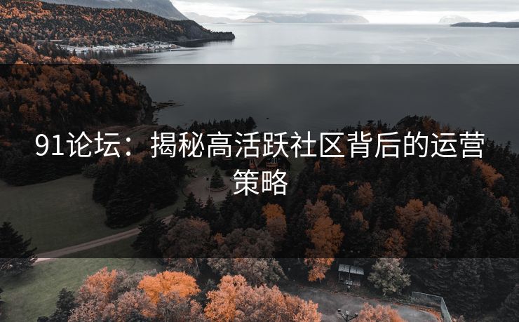 91论坛:揭秘高活跃社区背后的运营策略